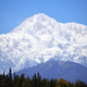 A view of Denali, formerly known as Mt. McKinley.